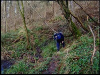 .....hit the mud and it was necessary to take detours into the undergrowth to escape the worst of it .